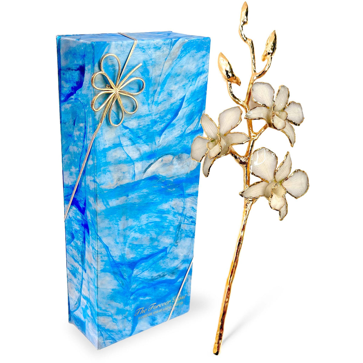 24K Gold Orchid - White Lace