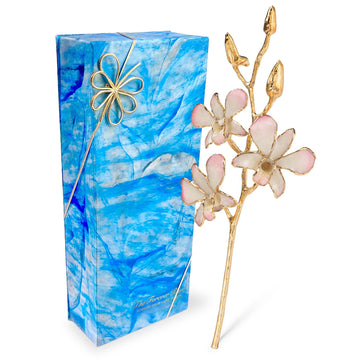 24K Gold Orchid - White to Pink