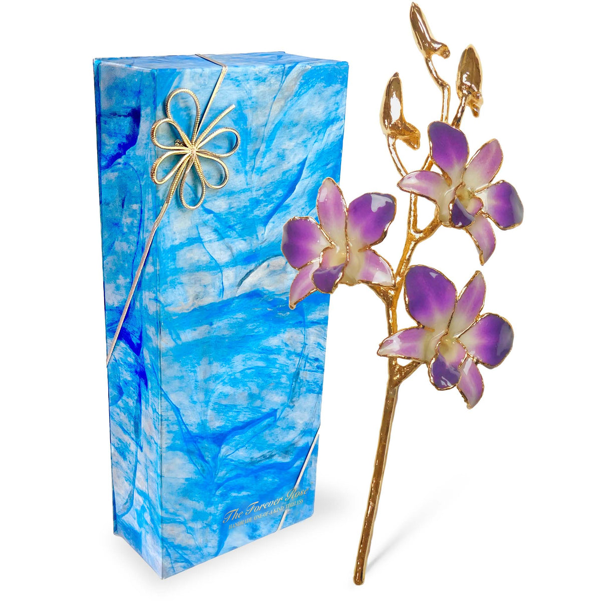 24K Gold Orchid - Purple/White