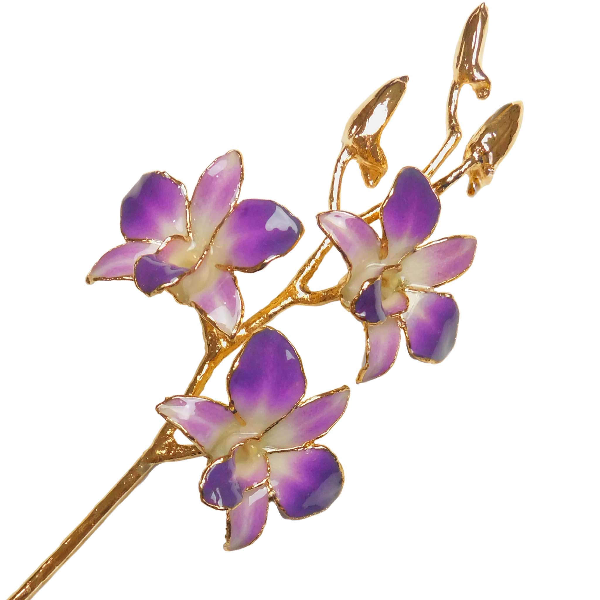 24K Gold Orchid - Purple/White