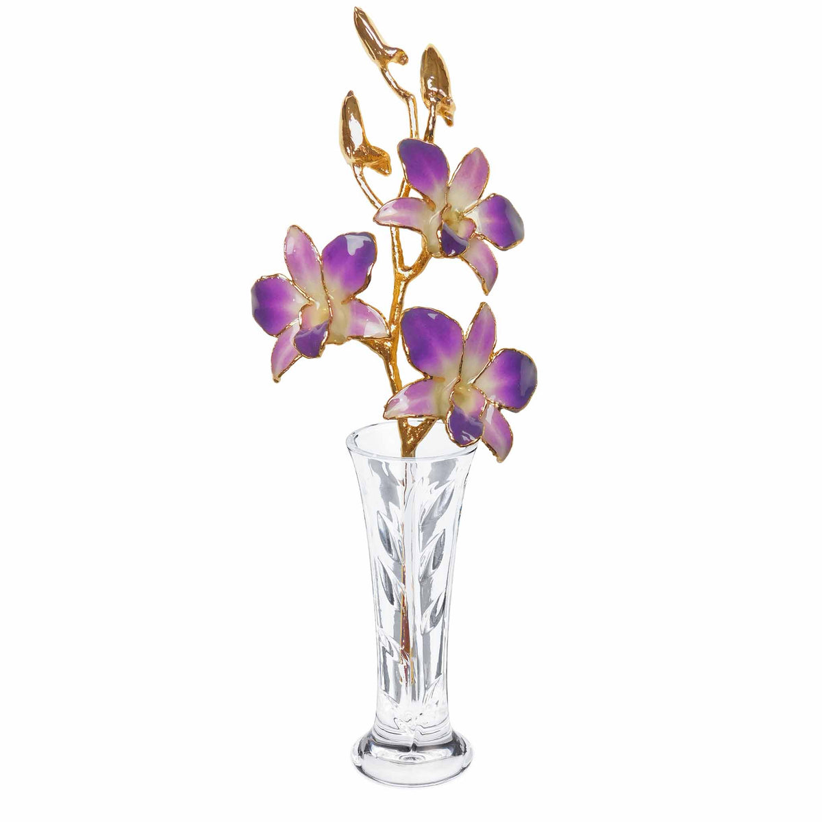 24K Gold Orchid - Purple/White