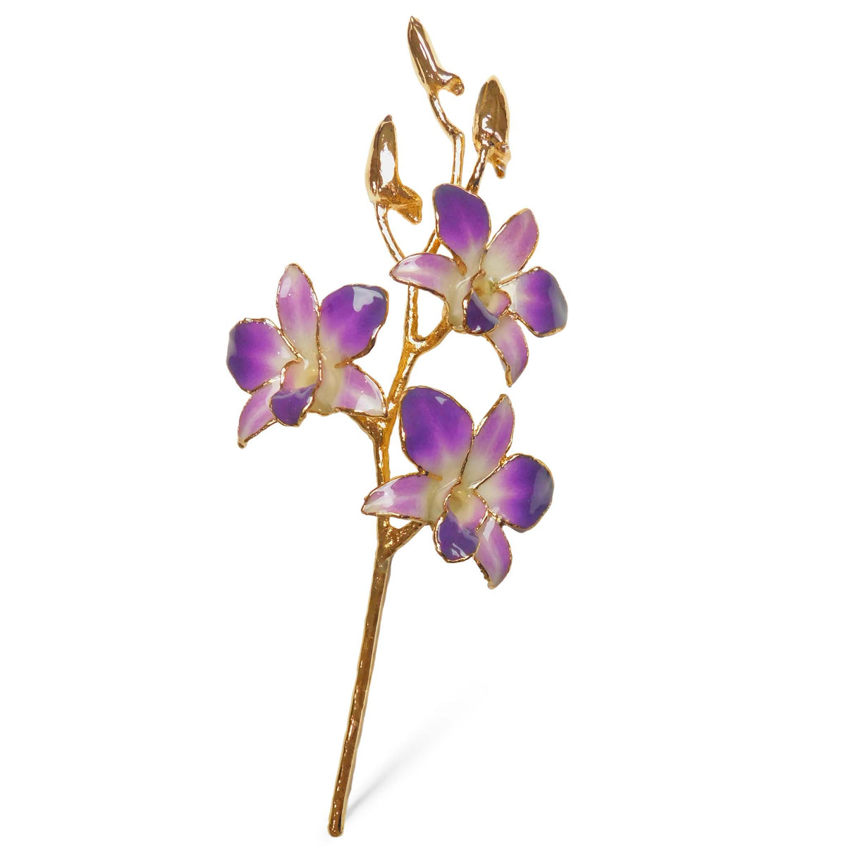 24K Gold Orchid - Purple/White