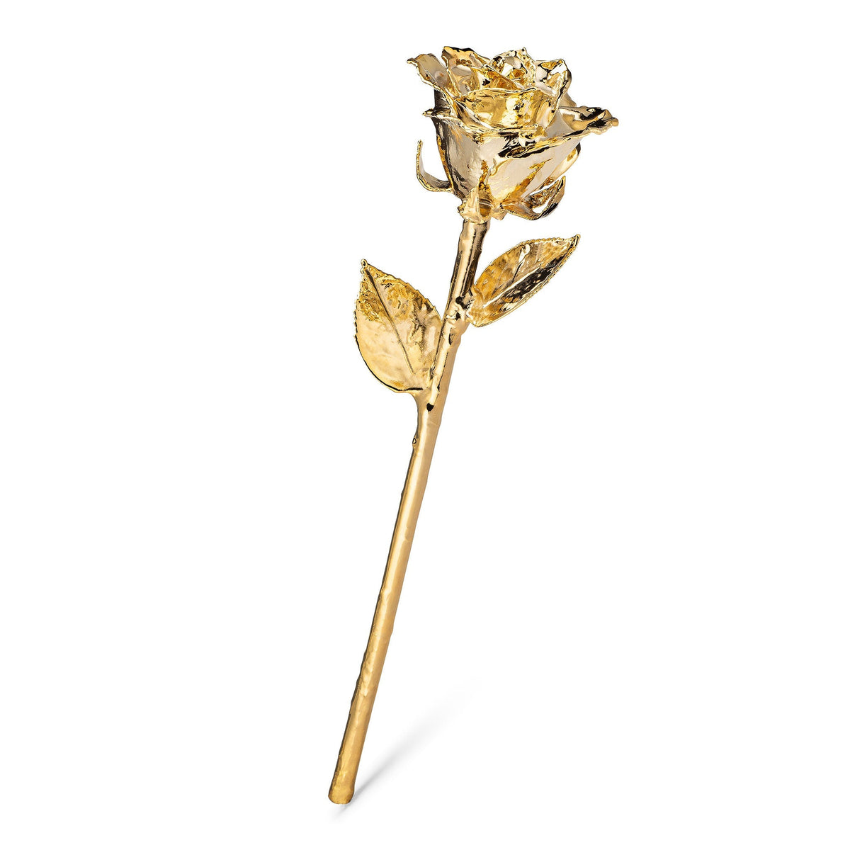 &quot;&#39;Til The Last Petal Falls&quot; Personalized 24K Gold Forever Rose Combo with Bloom Box &amp; Phantom Vase™ Combo