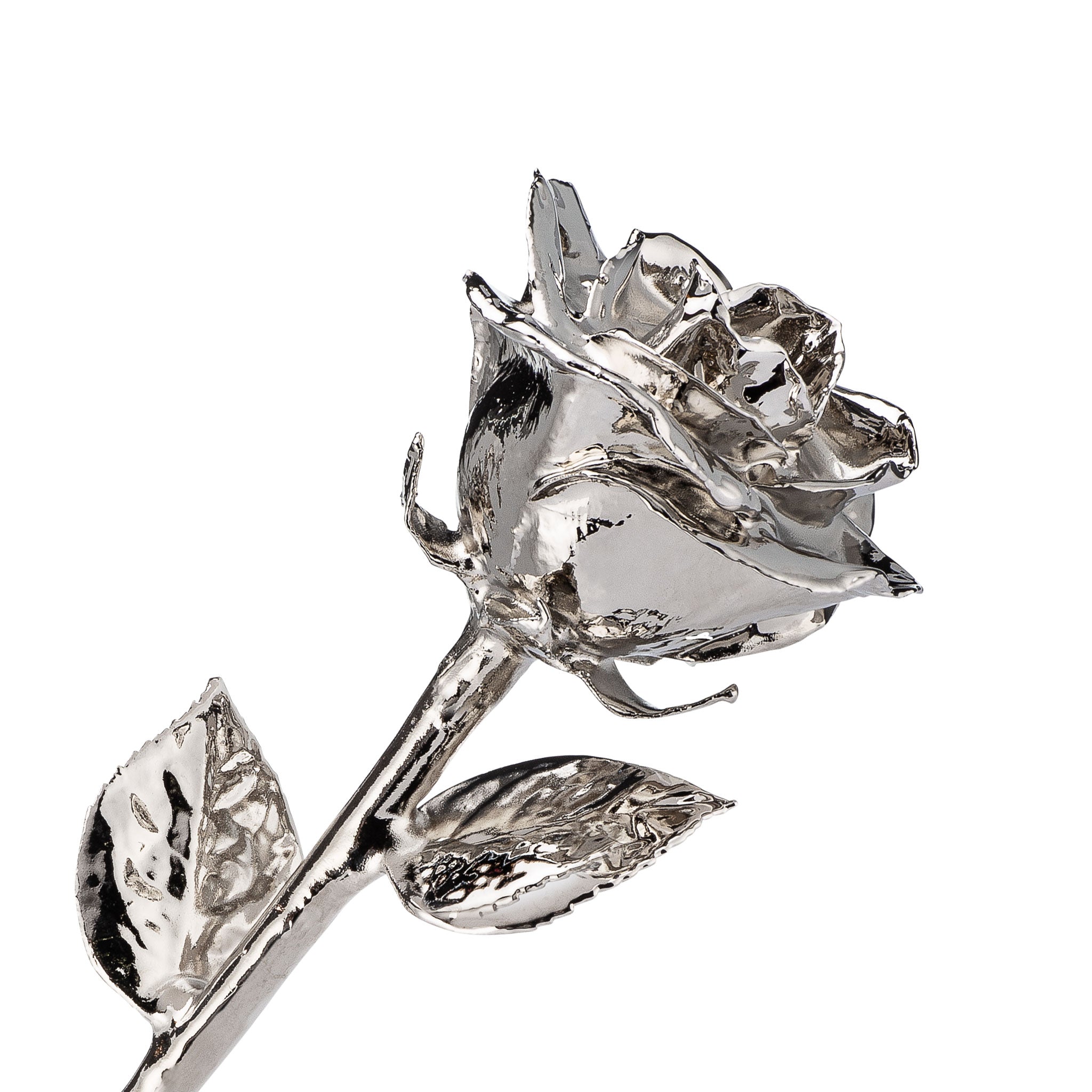 "Happy Birthday" Personalized Platinum Forever Rose Combo with Bloom Box & Phantom Vase™ Combo