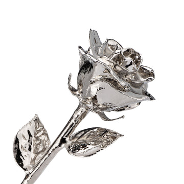 "True Love Never Fades" Personalized Platinum Forever Rose Combo with Bloom Box & Phantom Vase™ Combo