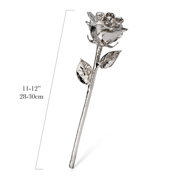 "Happy Birthday" Personalized Platinum Forever Rose Combo with Bloom Box & Phantom Vase™ Combo