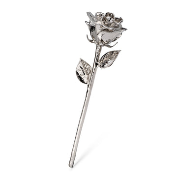 "Happy Birthday" Personalized Platinum Forever Rose Combo with Bloom Box & Phantom Vase™ Combo