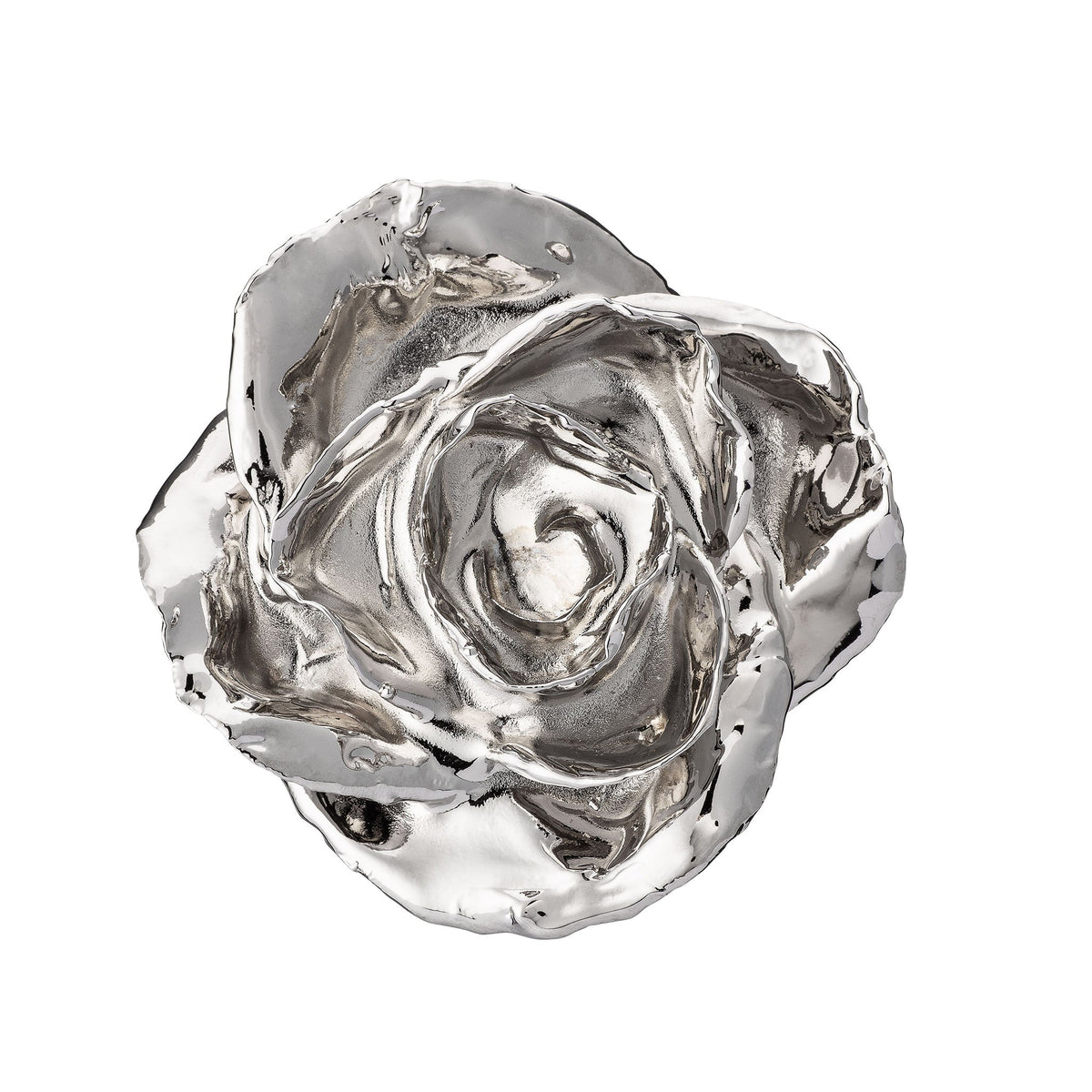 &quot;True Love Never Fades&quot; Personalized Platinum Forever Rose Combo with Bloom Box &amp; Phantom Vase™ Combo