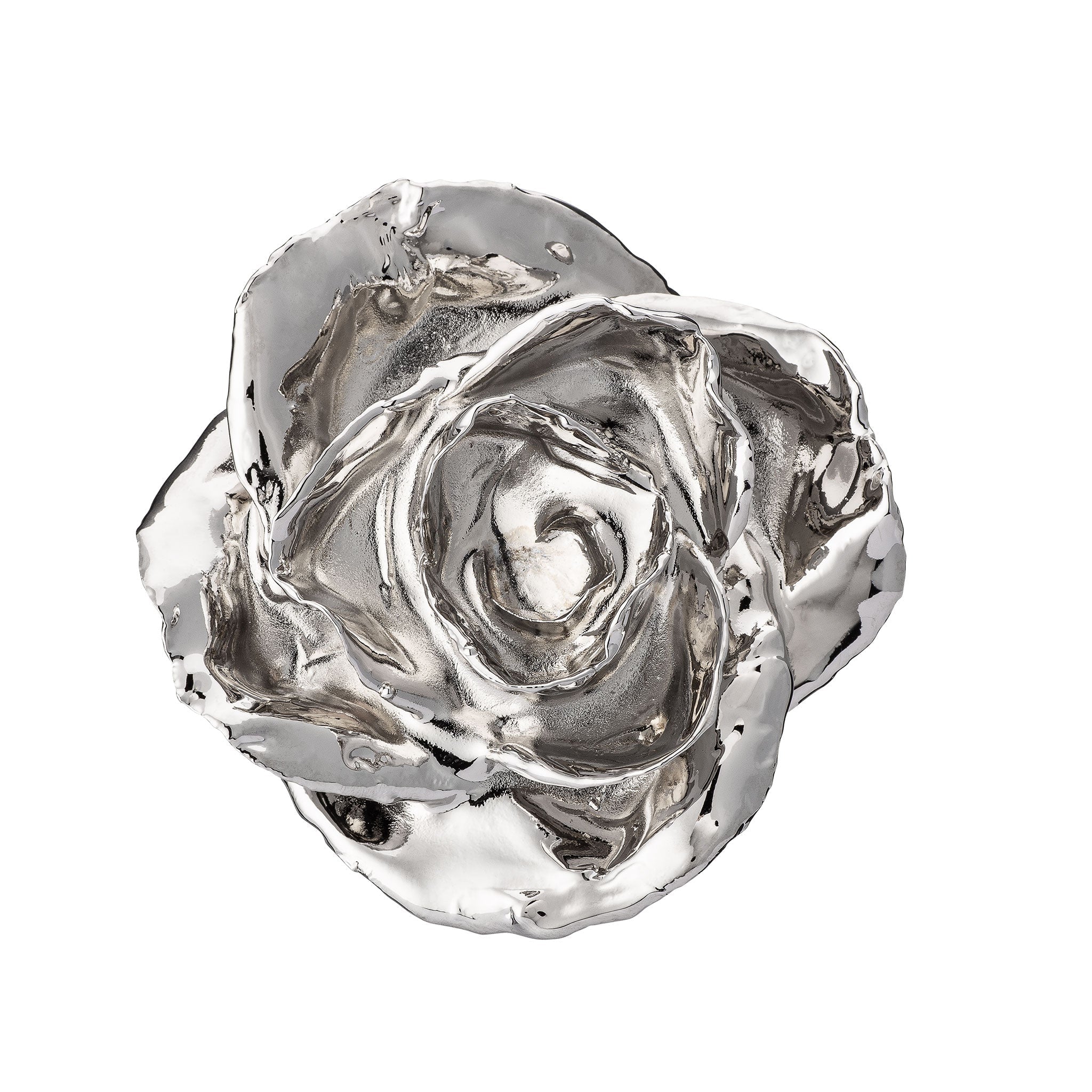 "Happy Birthday" Personalized Platinum Forever Rose Combo with Bloom Box & Phantom Vase™ Combo