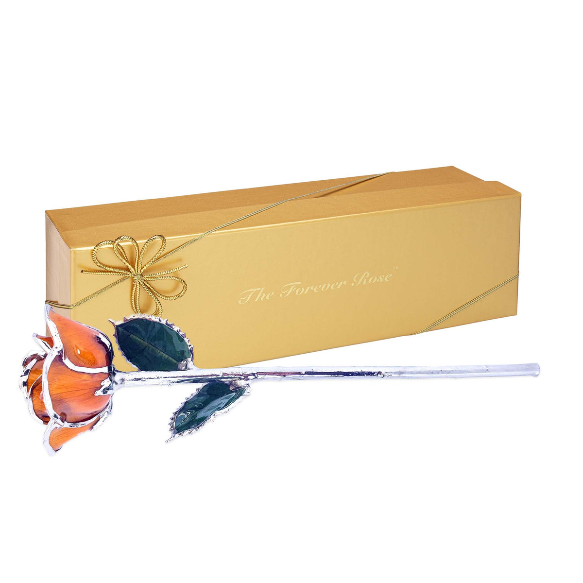 Platinum Forever Rose - Amber