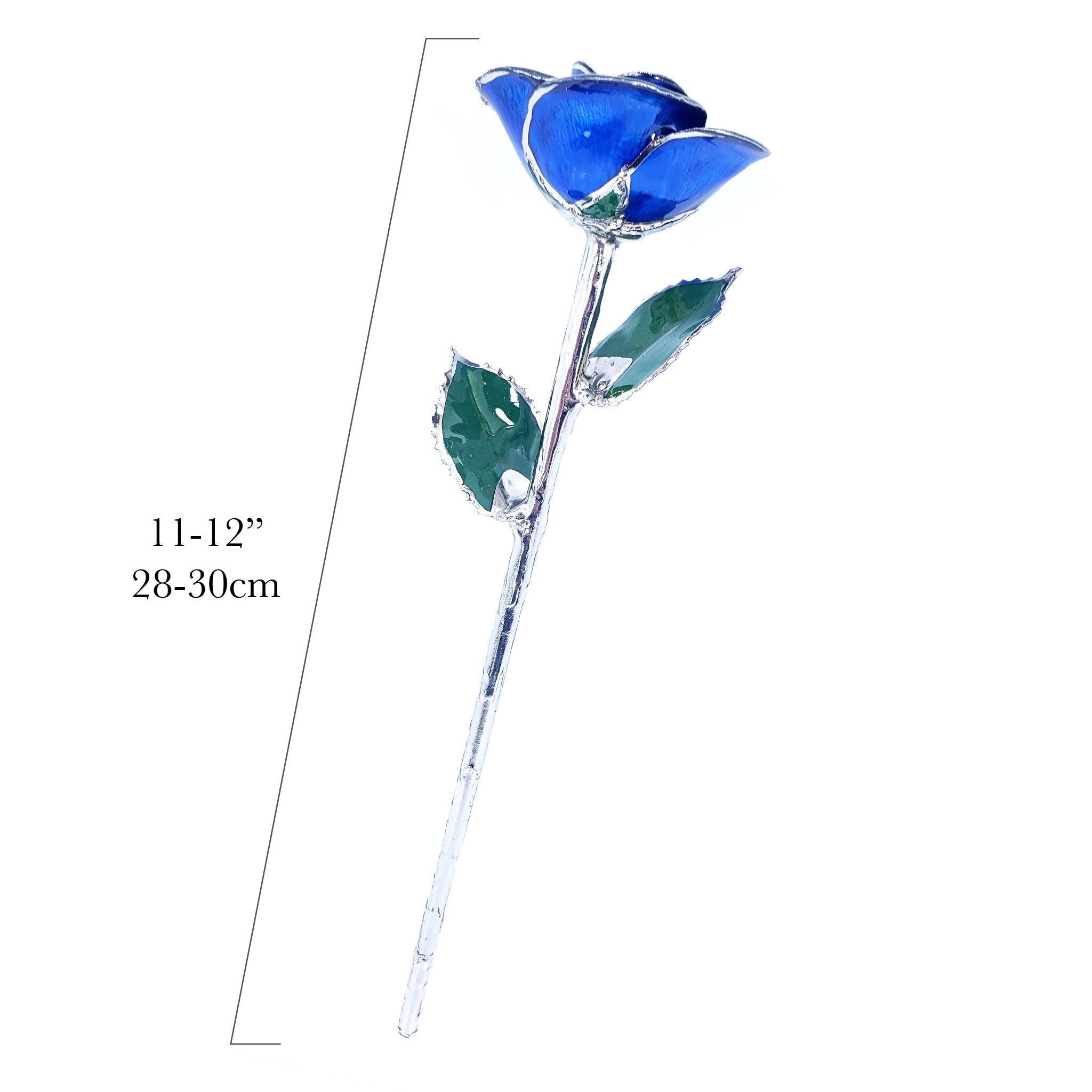Platinum Forever Rose - Blue