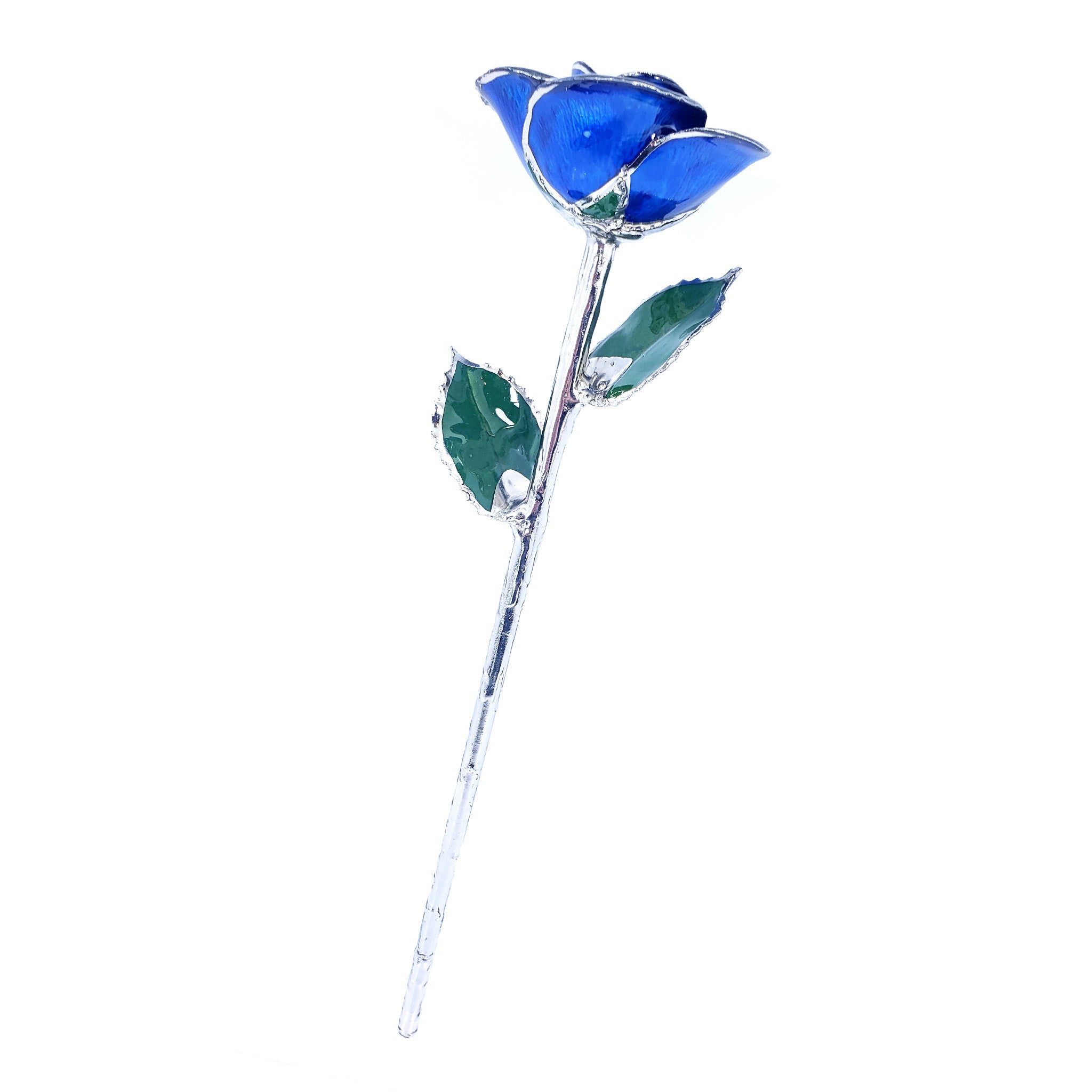 Platinum Forever Rose - Blue