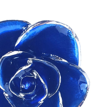 Platinum Forever Rose - Blue