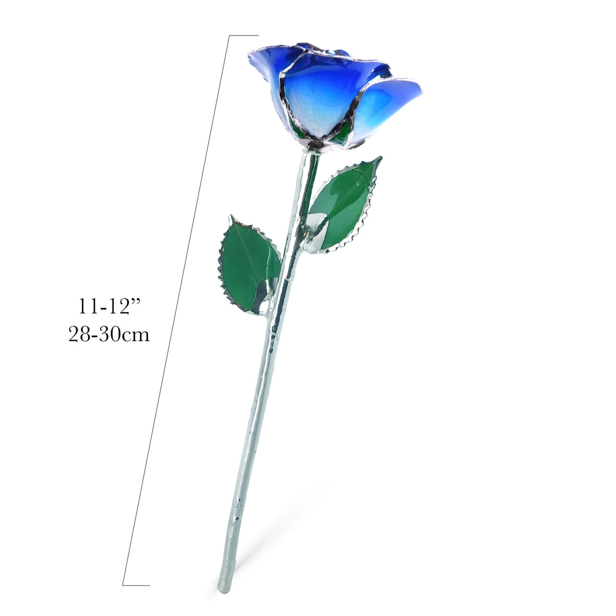 Platinum Forever Rose - Blue 2-Tone