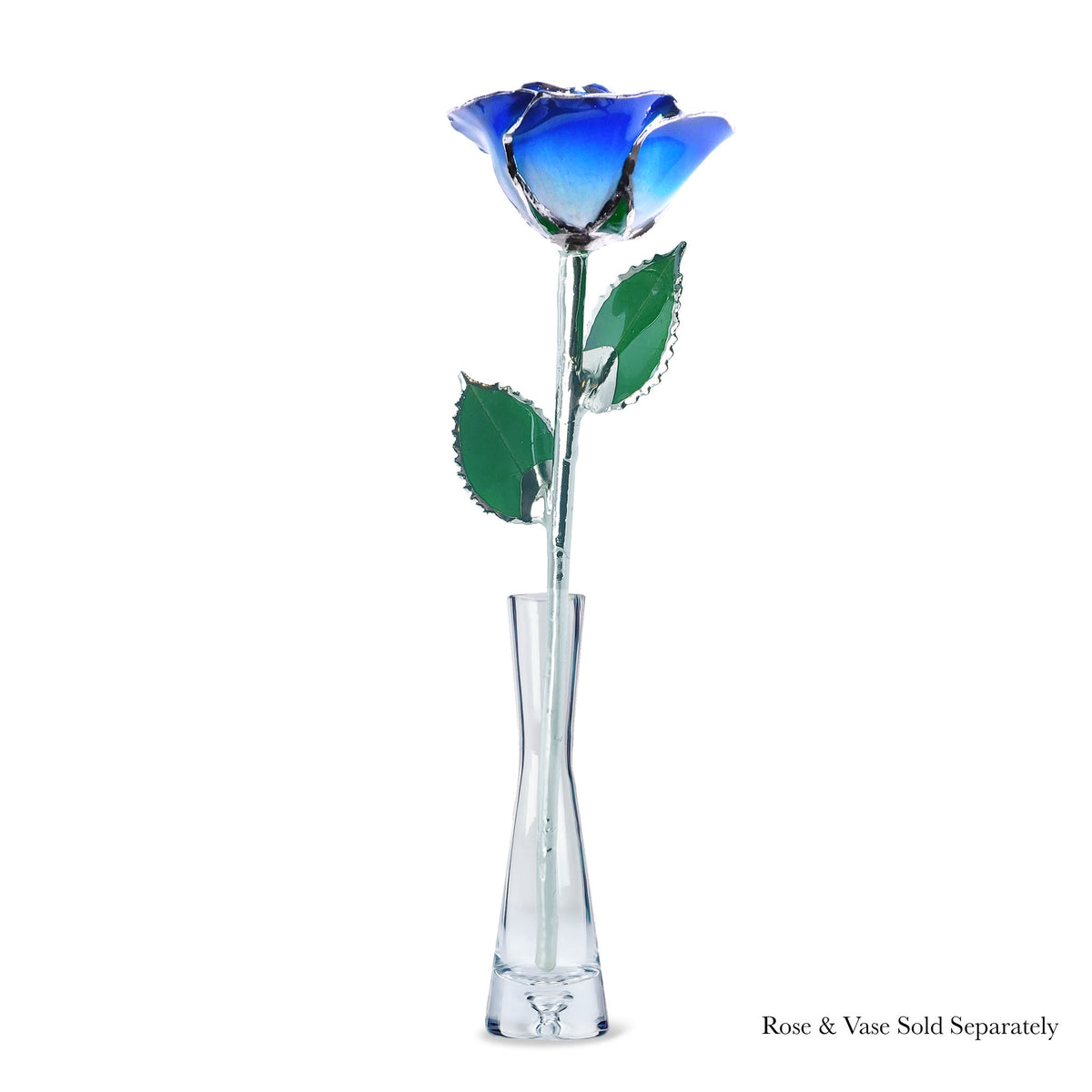 Platinum Forever Rose - Blue 2-Tone