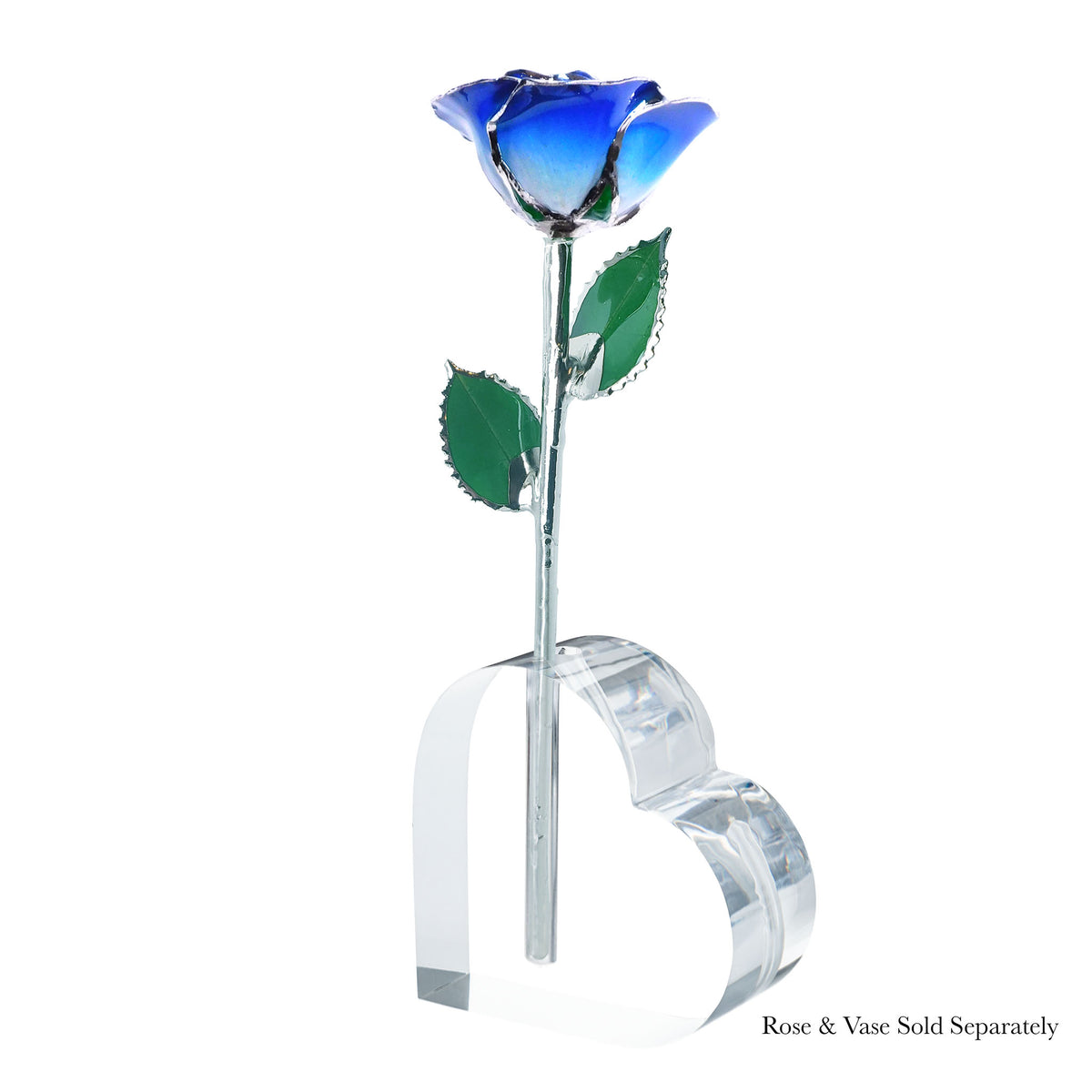 Platinum Forever Rose - Blue 2-Tone