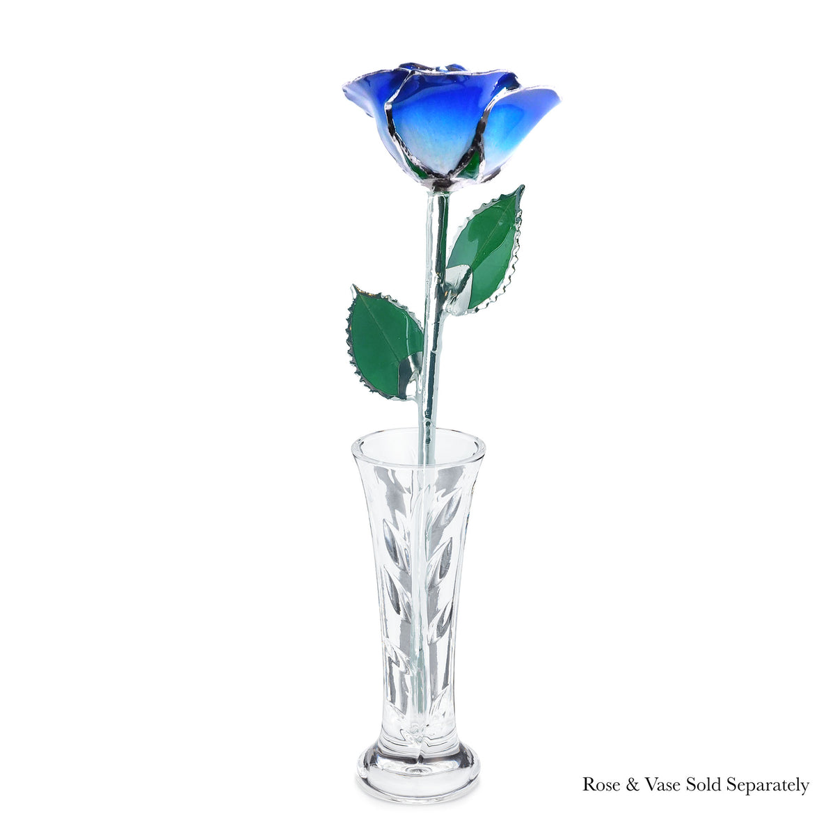 Platinum Forever Rose - Blue 2-Tone