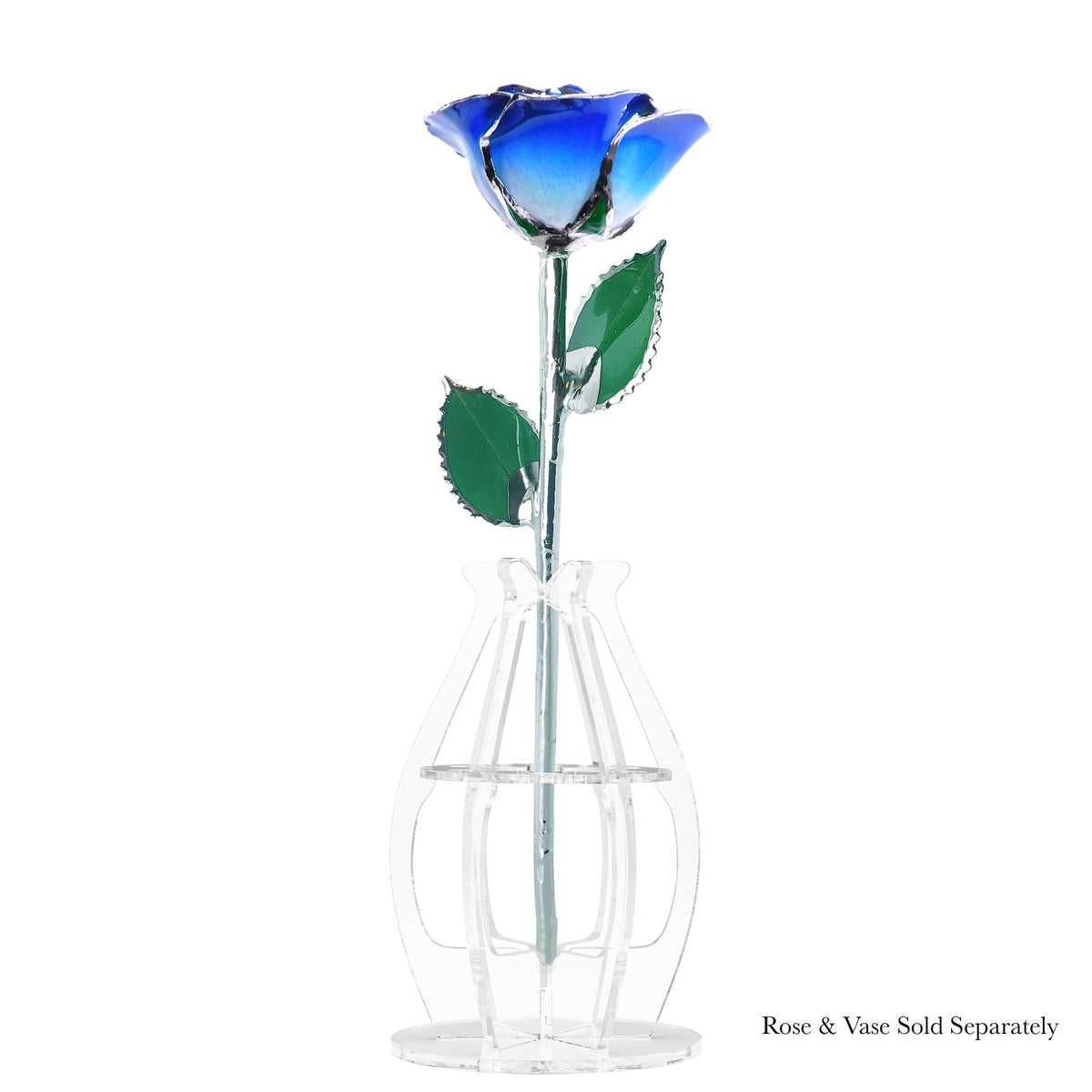 Platinum Forever Rose - Blue 2-Tone