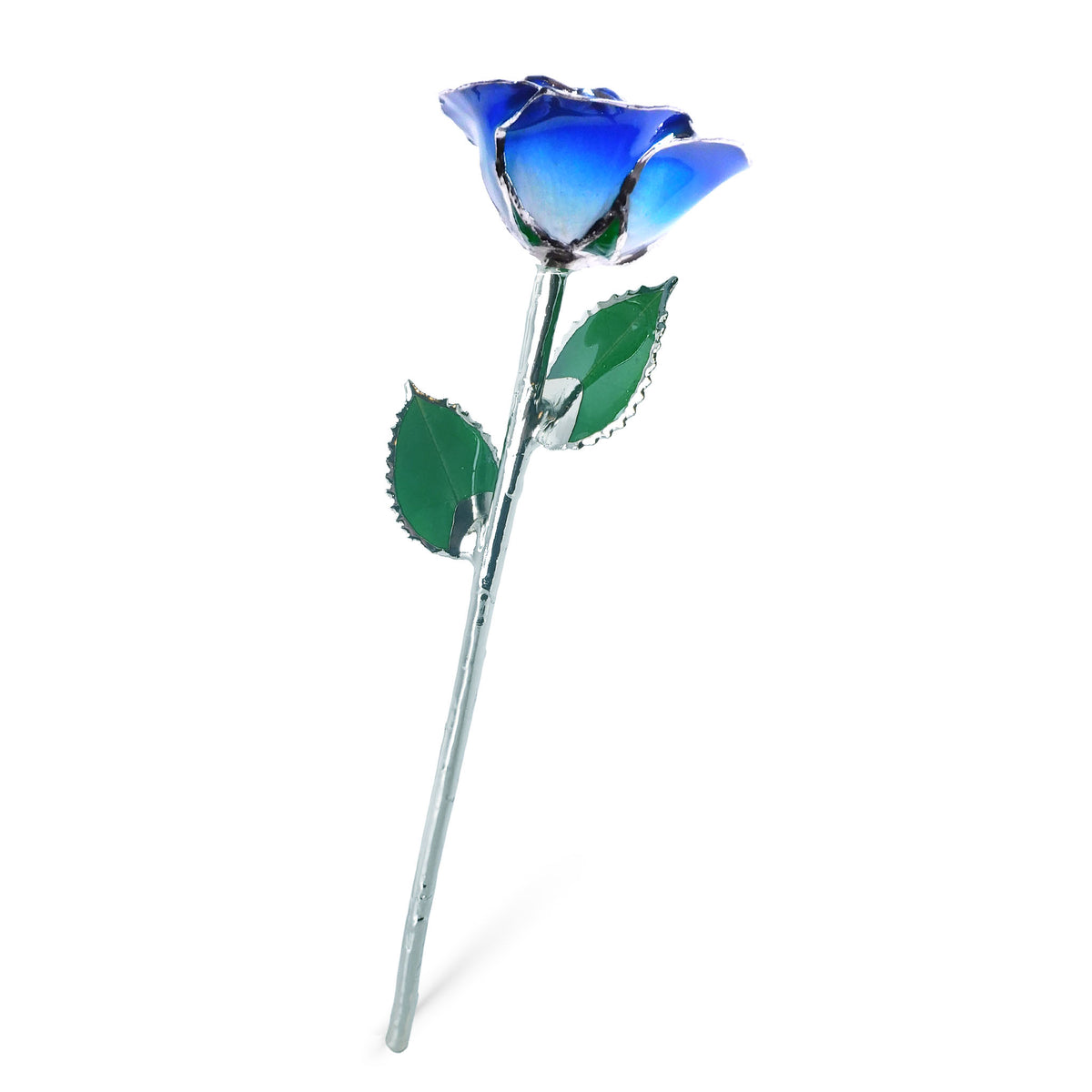 Platinum Forever Rose - Blue 2-Tone