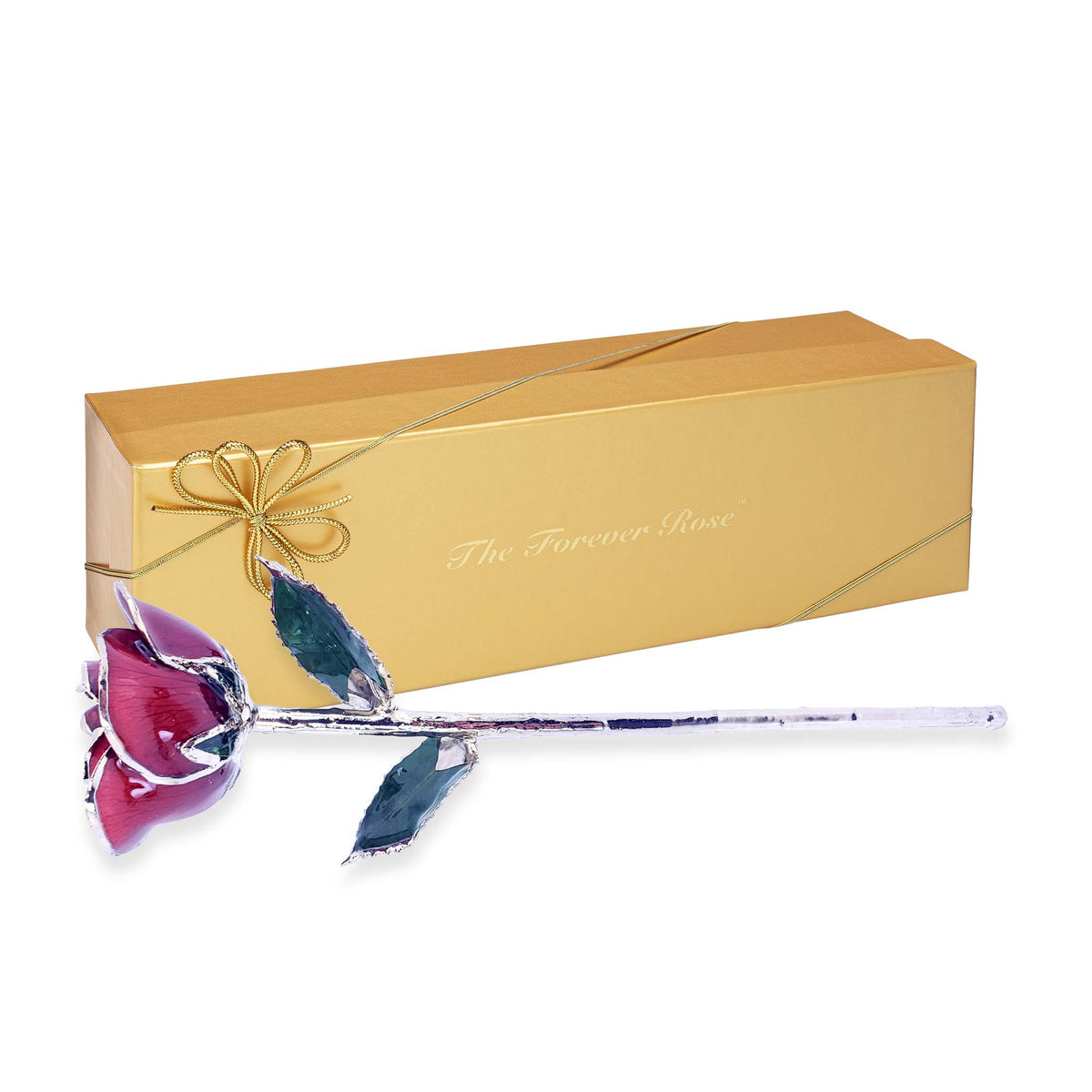 Platinum Forever Rose - Burgundy
