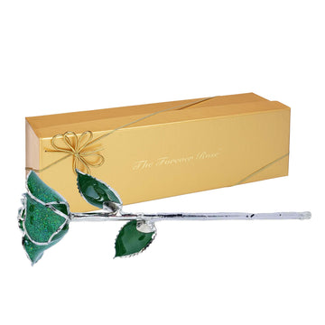 Platinum Forever Rose - Evergreen Sparkle