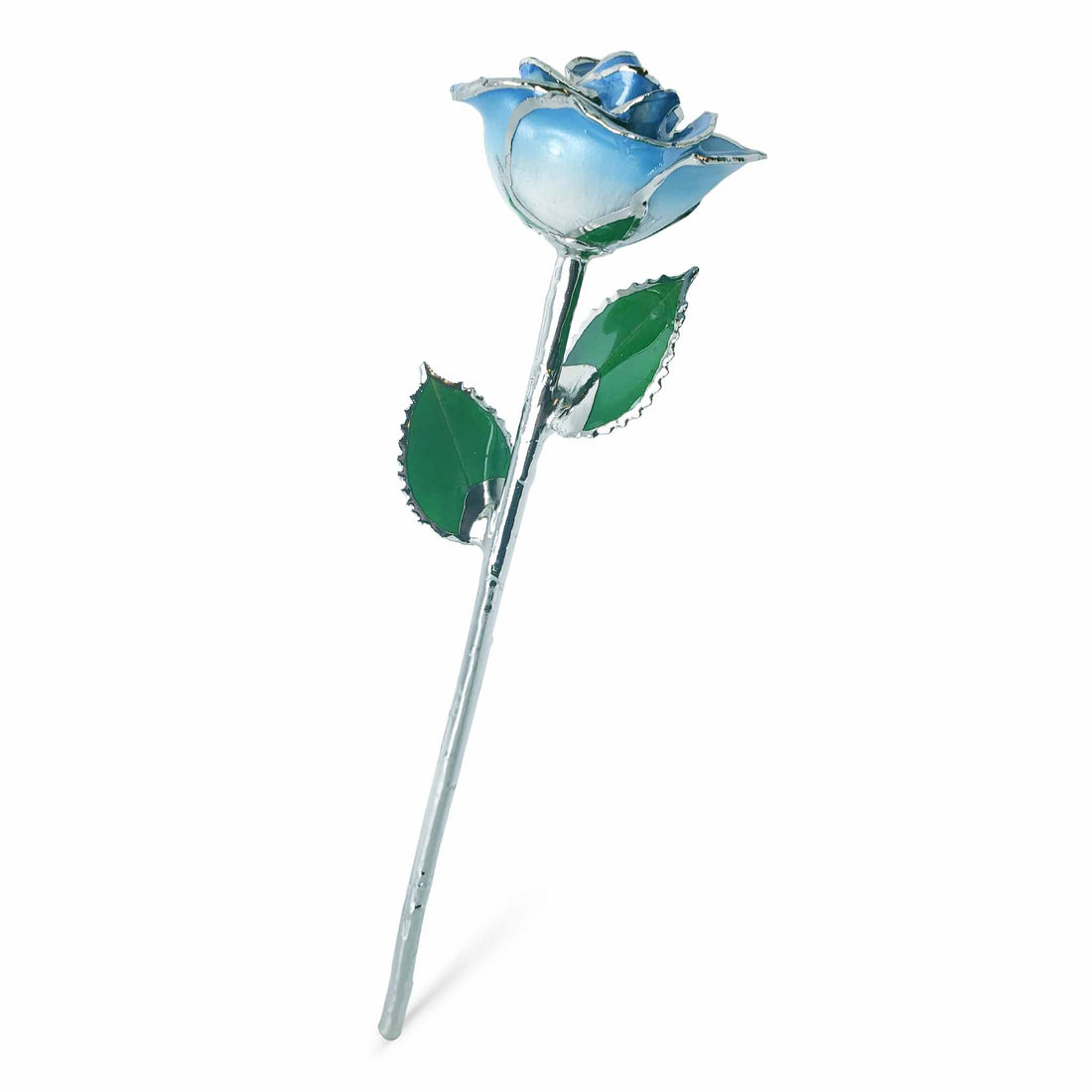Platinum Forever Rose - Baby Blue 2-Tone