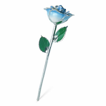 Platinum Forever Rose - Baby Blue 2-Tone