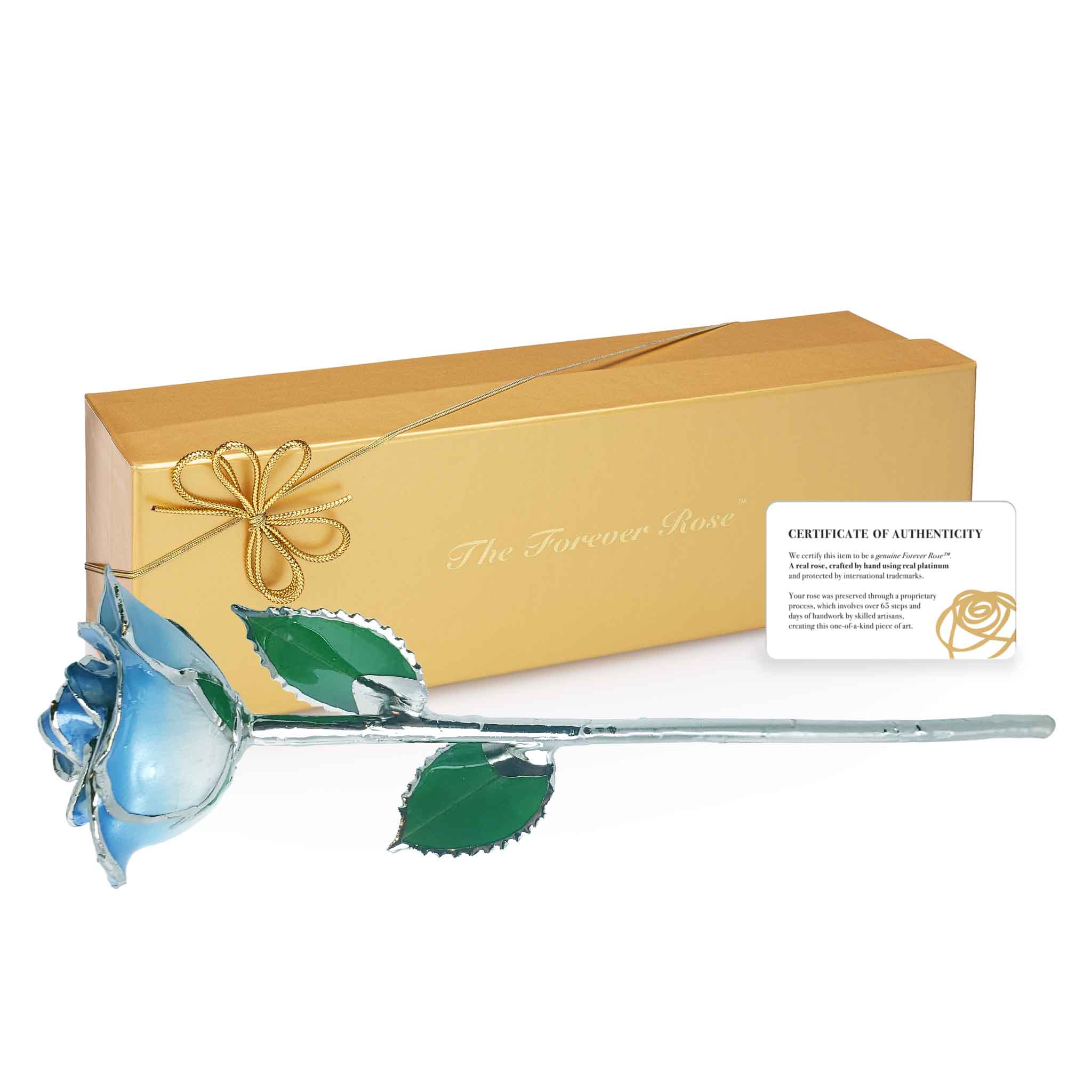 Platinum Forever Rose - Baby Blue 2-Tone