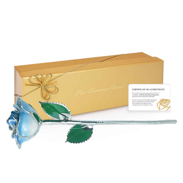 Platinum Forever Rose - Baby Blue 2-Tone