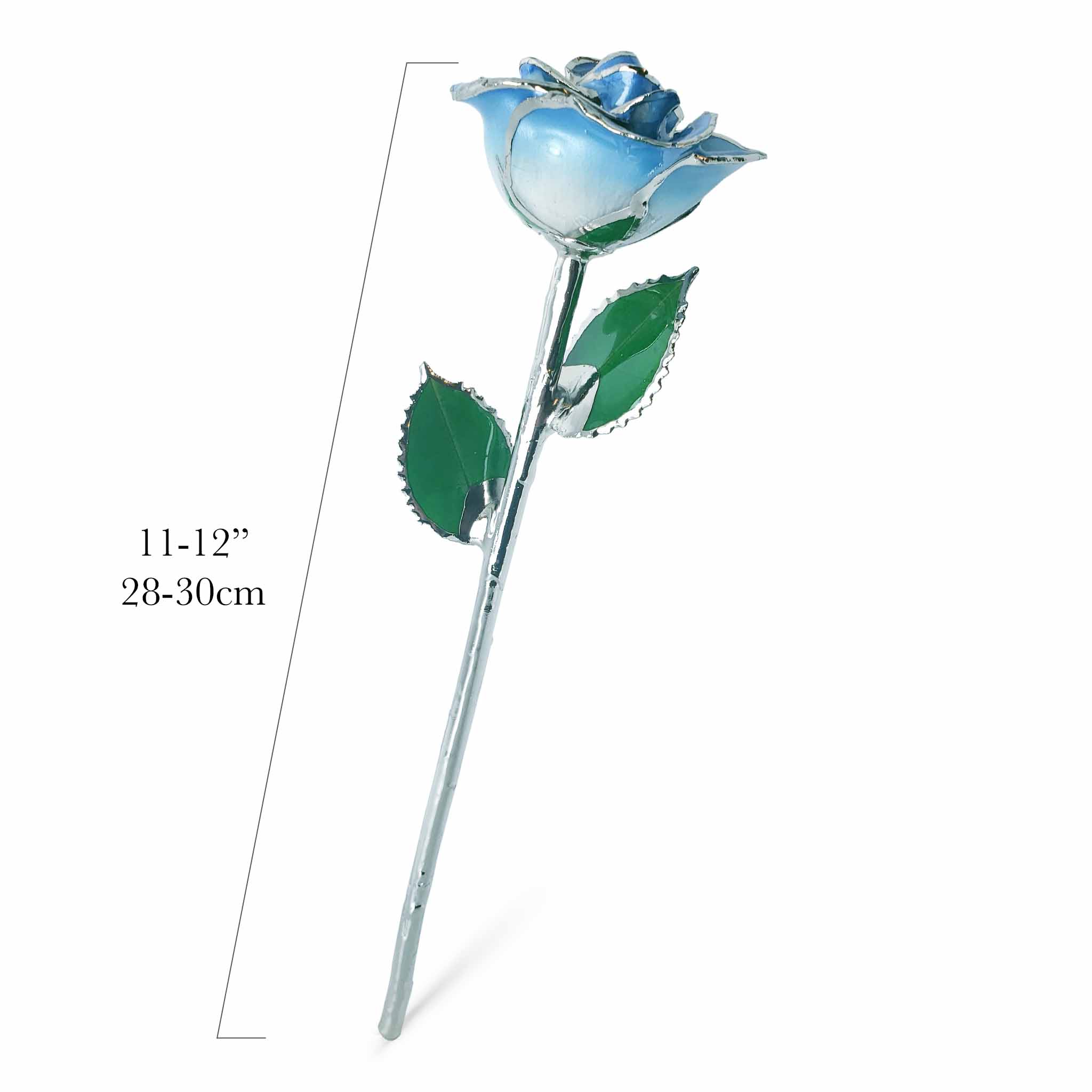 Platinum Forever Rose - Baby Blue 2-Tone
