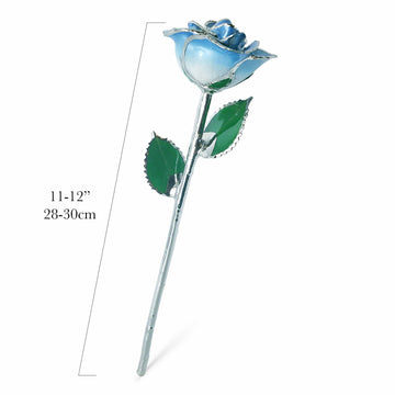 Platinum Forever Rose - Baby Blue 2-Tone