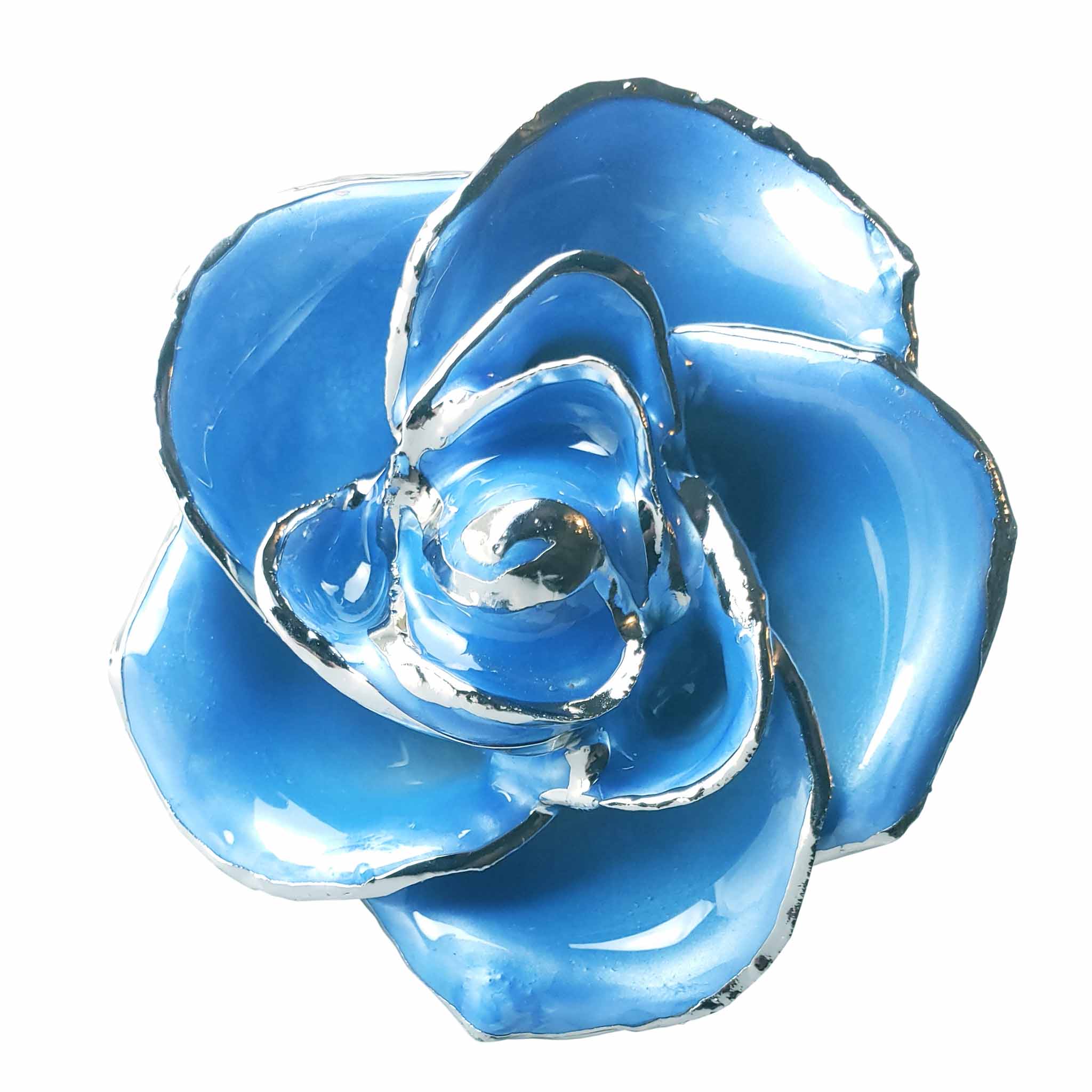 Platinum Forever Rose - Baby Blue 2-Tone