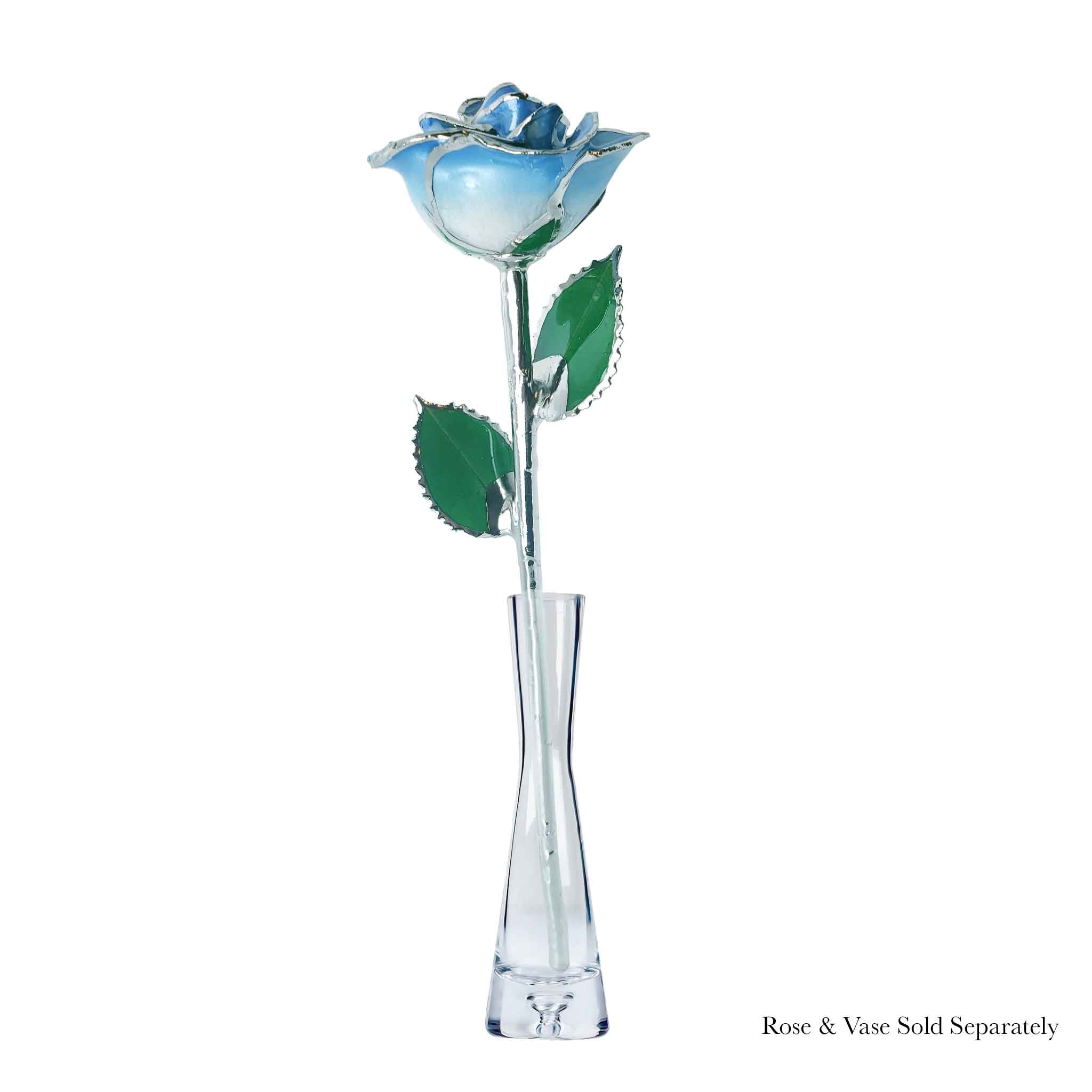 Platinum Forever Rose - Baby Blue 2-Tone