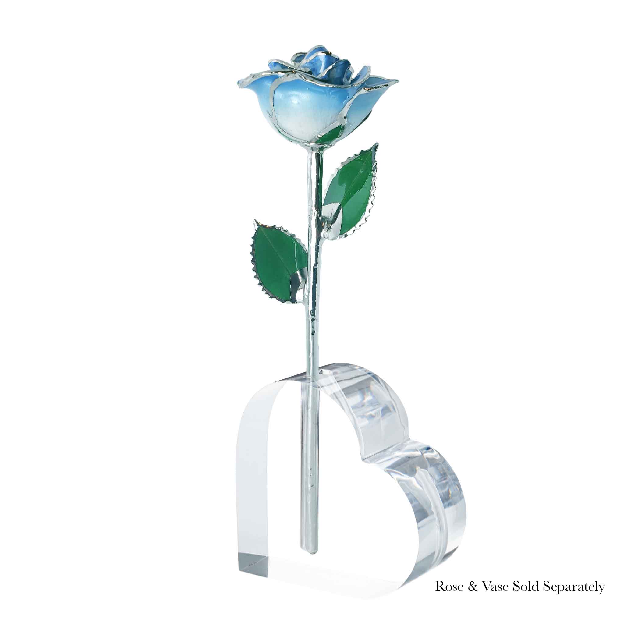 Platinum Forever Rose - Baby Blue 2-Tone