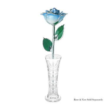 Platinum Forever Rose - Baby Blue 2-Tone