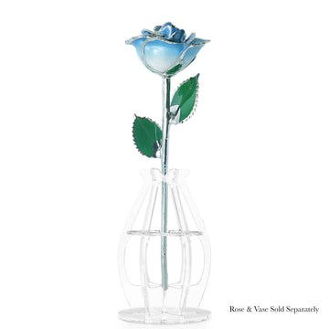 Platinum Forever Rose - Baby Blue 2-Tone