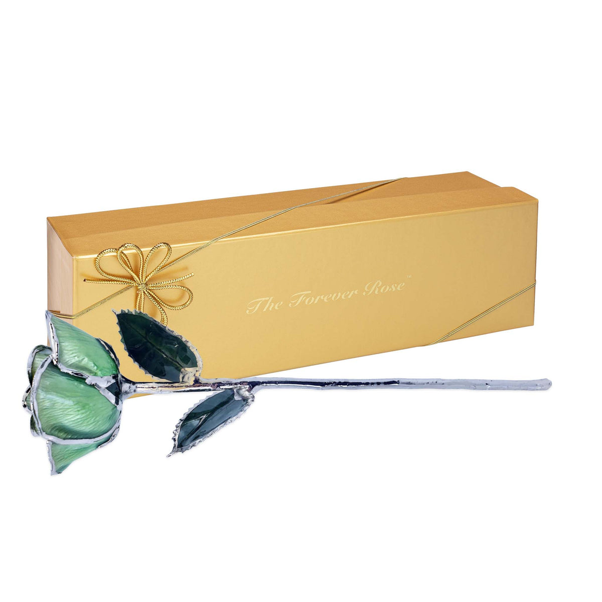 Platinum Forever Rose - Light Green