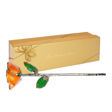 Platinum Forever Rose - Orange You Pretty