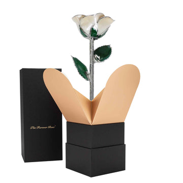 Platinum Forever Rose - Angel