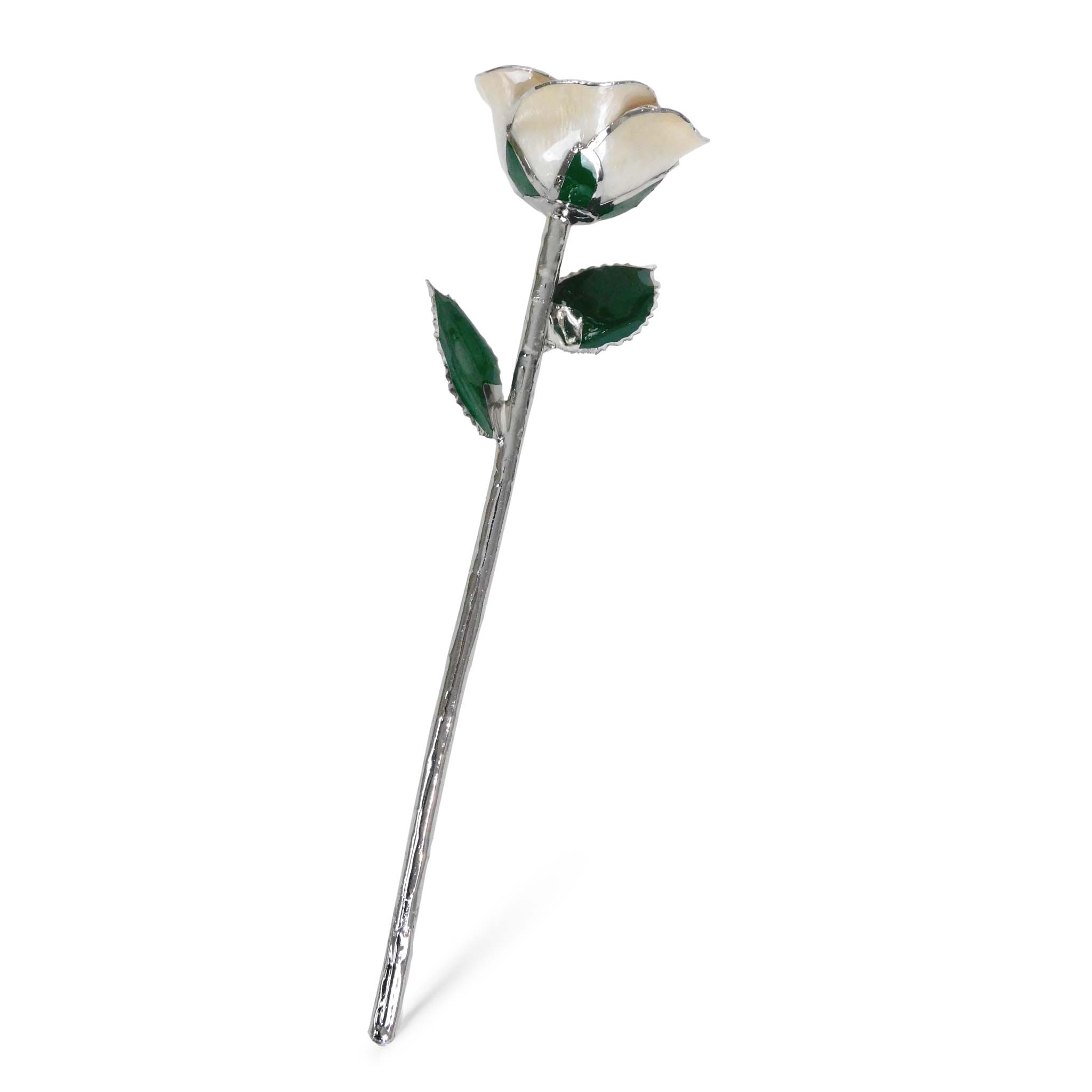 Platinum Forever Rose - Angel