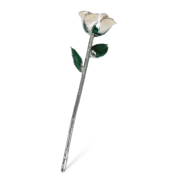 Platinum Forever Rose - Angel