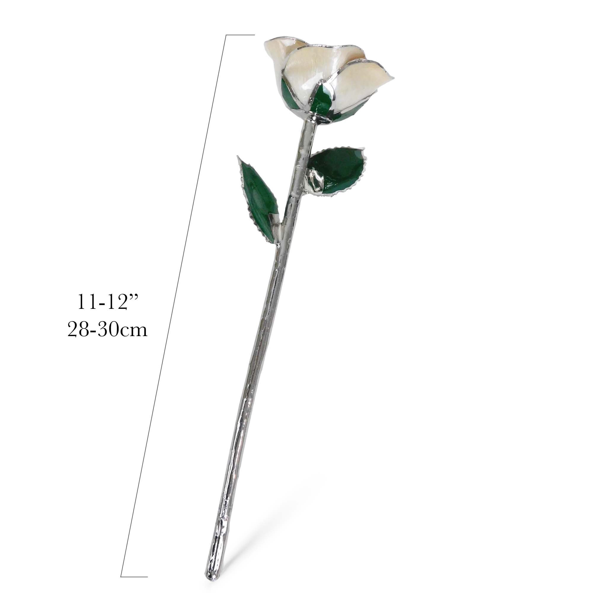 Platinum Forever Rose - Angel