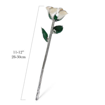 Platinum Forever Rose - Angel
