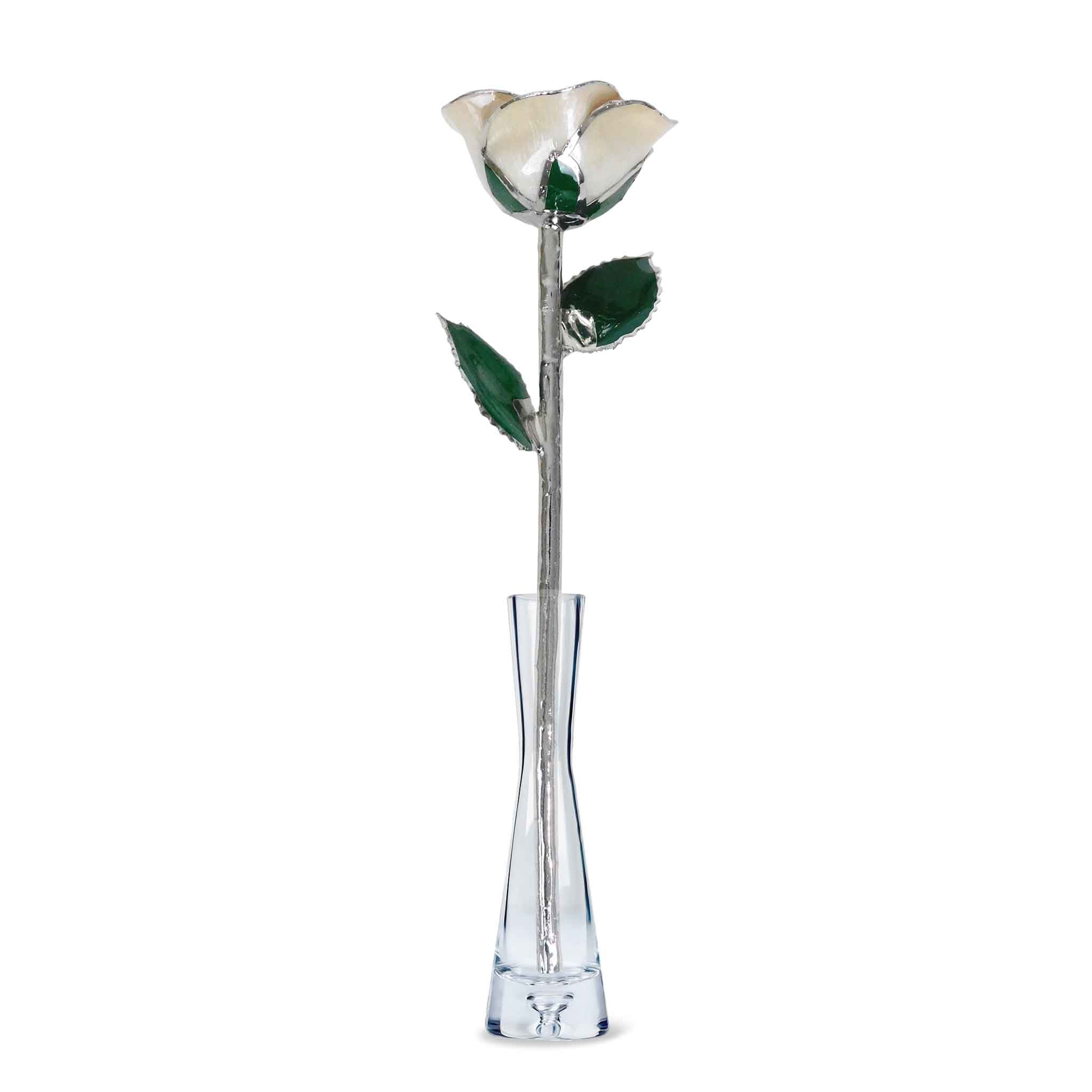 Platinum Forever Rose - Angel