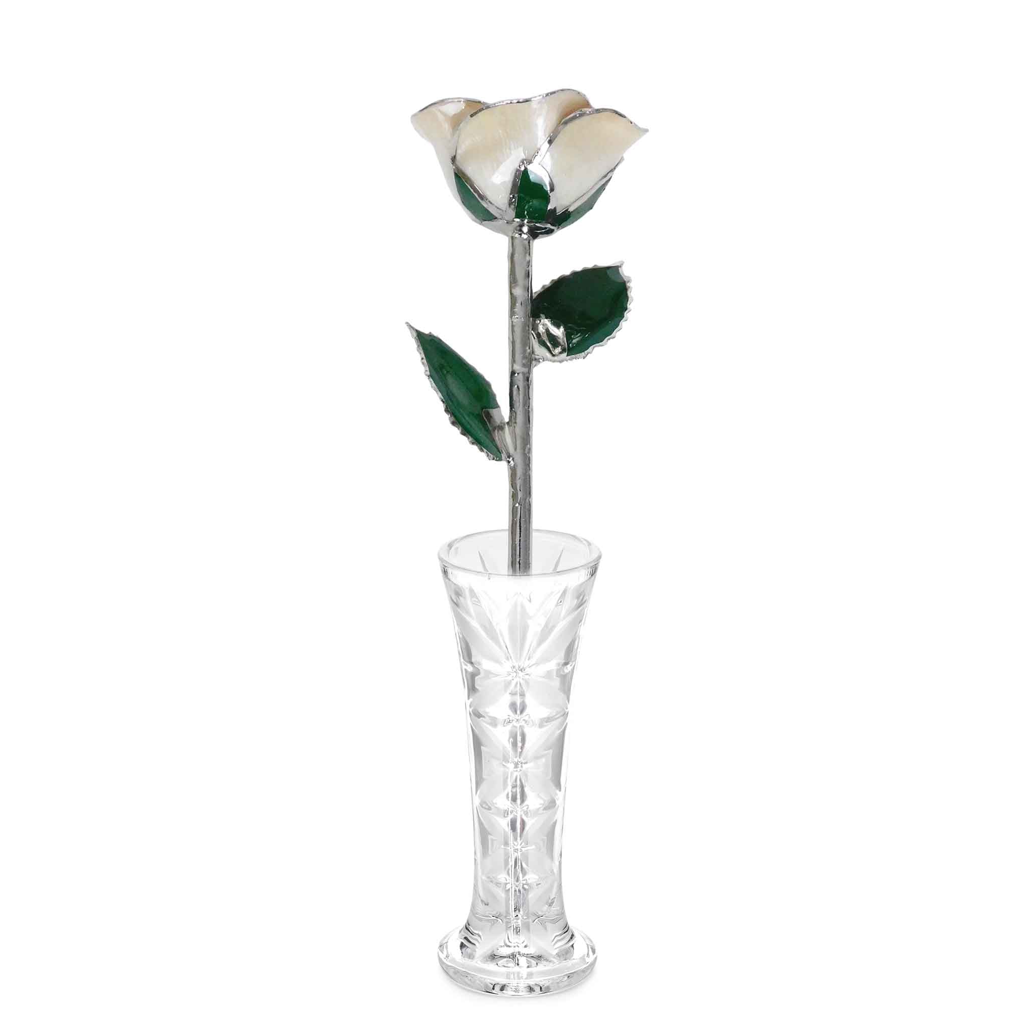 Platinum Forever Rose - Angel