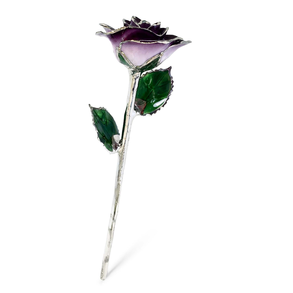 Platinum Forever Rose - Purple 2-Tone