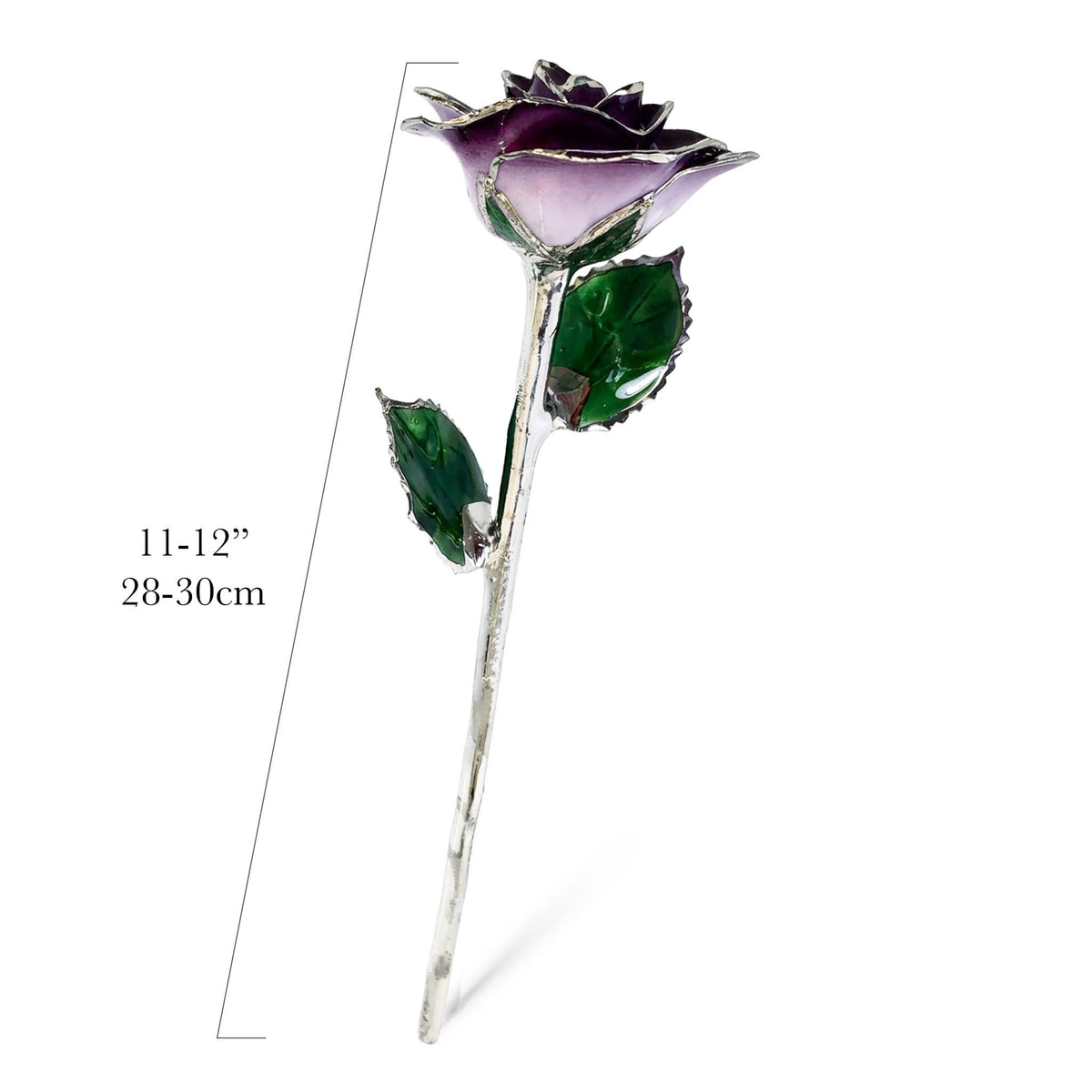 Platinum Forever Rose - Purple 2-Tone