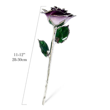 Platinum Forever Rose - Purple 2-Tone