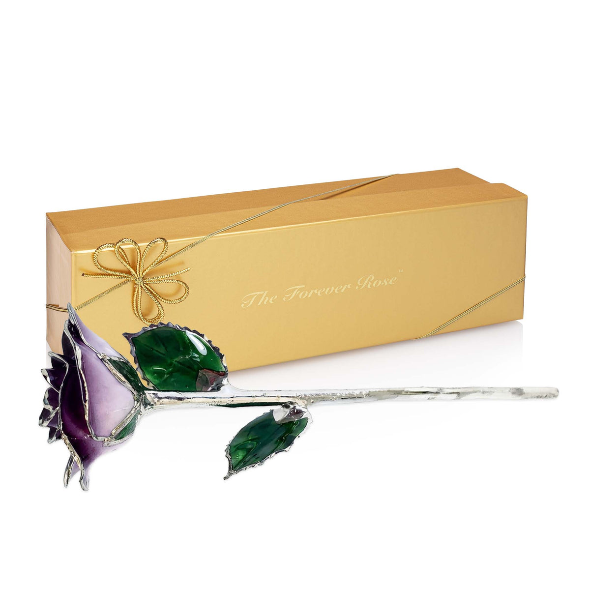 Platinum Forever Rose - Purple 2-Tone
