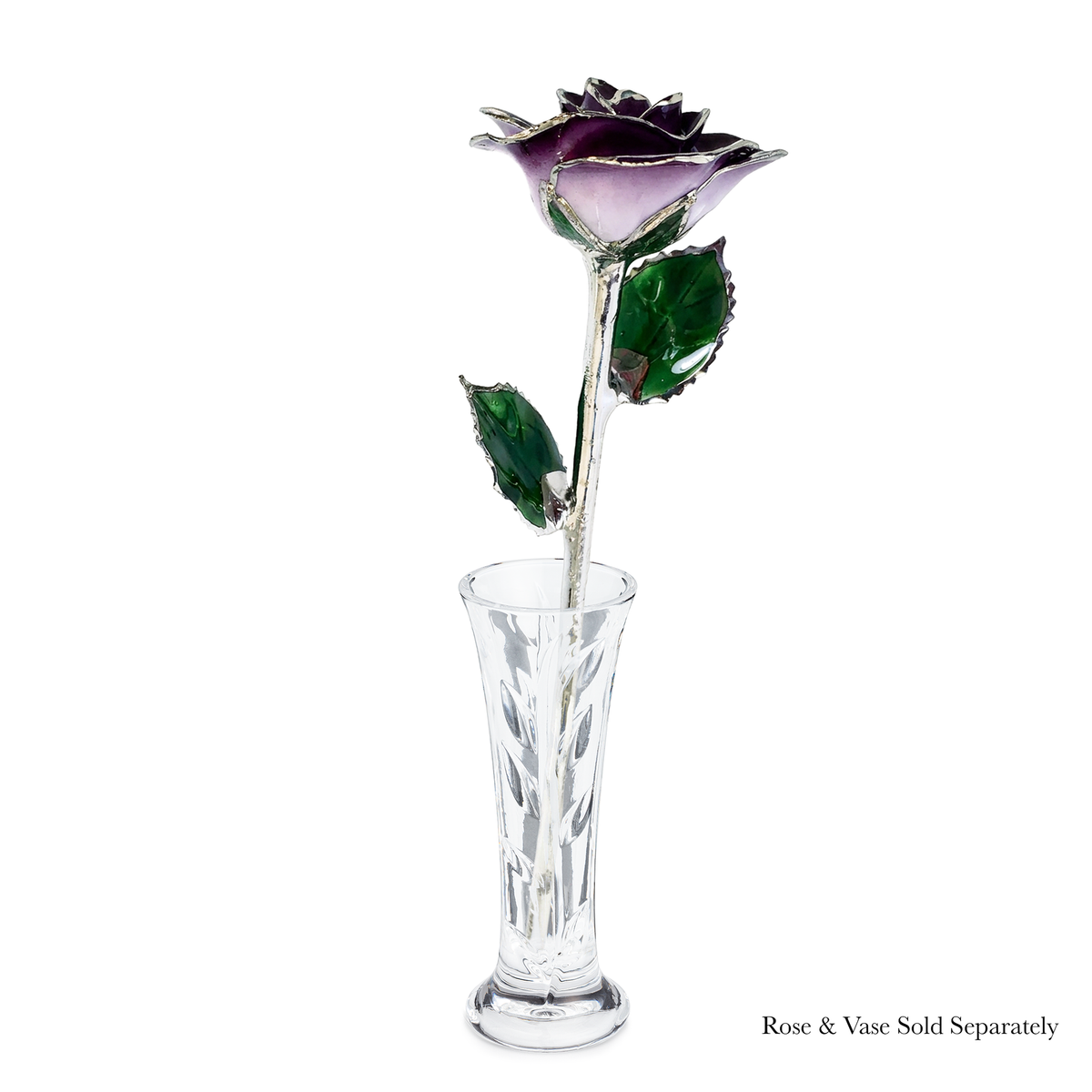 Platinum Forever Rose - Purple 2-Tone